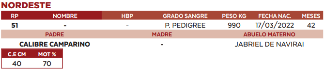 Lote LOTE 11