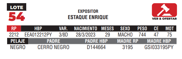 Lote LOTE 54 - CAMPO