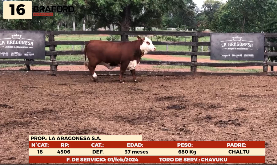 Imagen 1 del Lote Lote LOTE 16