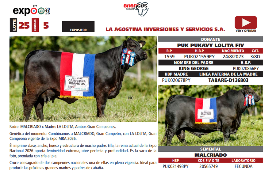 Lote LOTE 25
