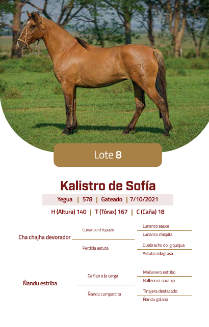 Lote LOTE 8