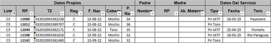 Lote 5 Vaquillonas preñadas