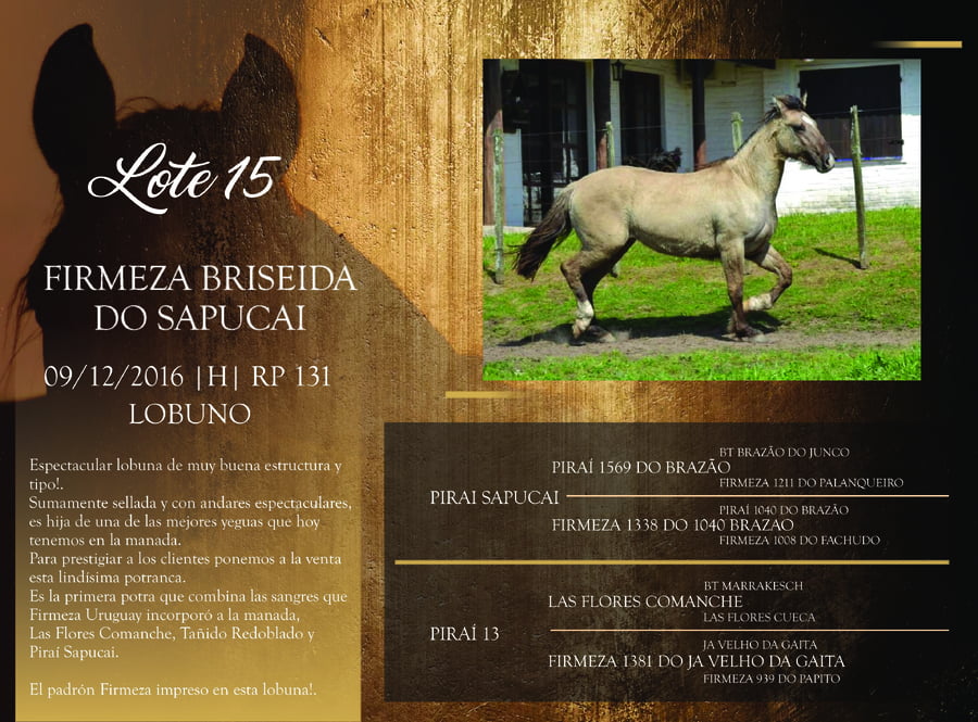 Lote RP 131 - FIRMEZA BRISEIDA DO SAPUCAI