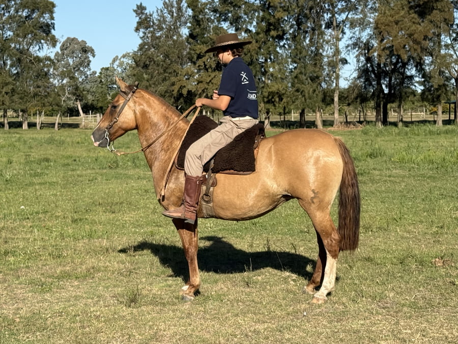 Lote HERMOSA TACURU