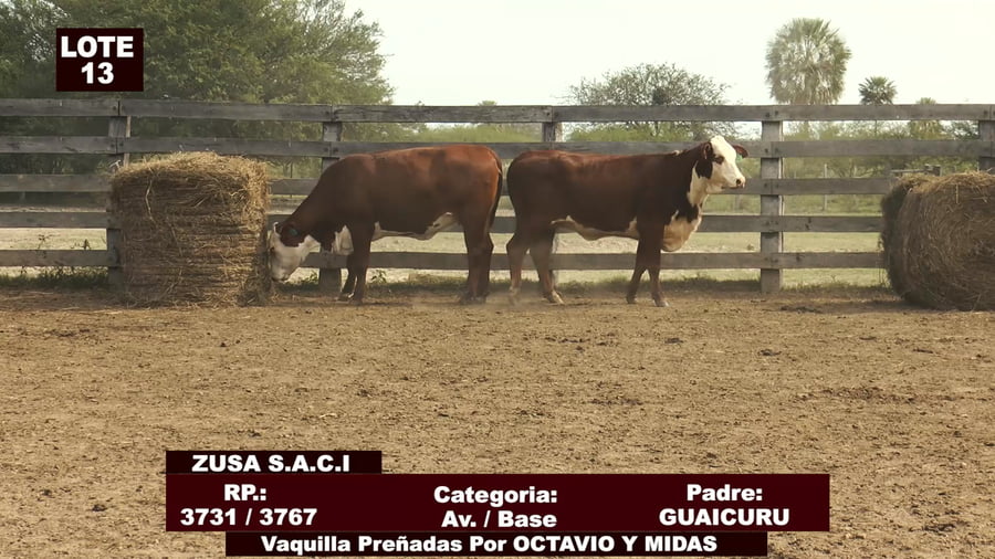 Lote Cabañas de Tradición - Lote 13