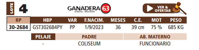 Lote LOTE 4