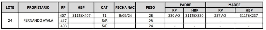 Lote LOTE 24