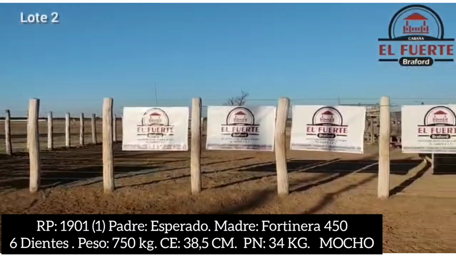 Lote CABAÑA EL FUERTE