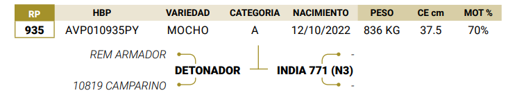 Lote LOTE 16