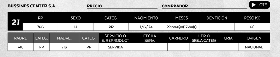 Lote LOTE 21