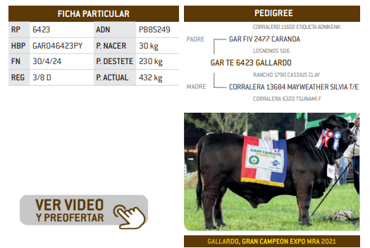 Lote LOTE 3
