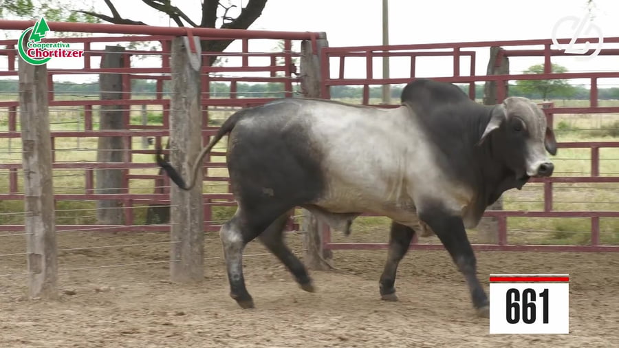 Lote Brahman