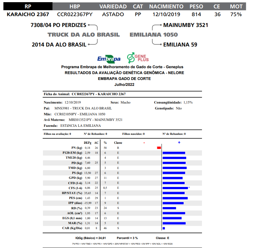 Lote LOTE 59  RP  K2367