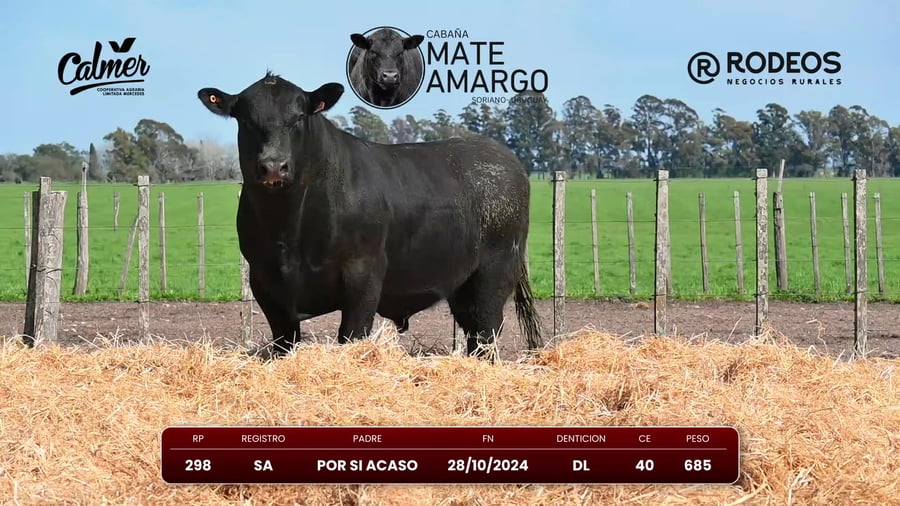 Lote RP 298 SA