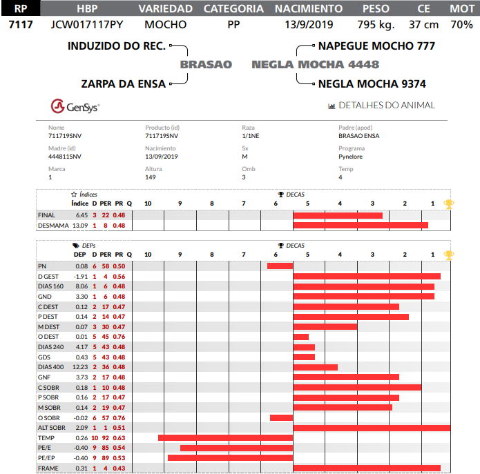 Lote LOTE 16-  RP 7117