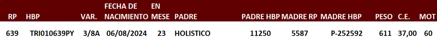 Lote LOTE 8