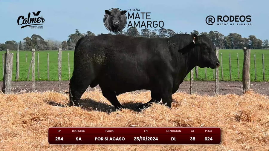 Lote RP 294 SA