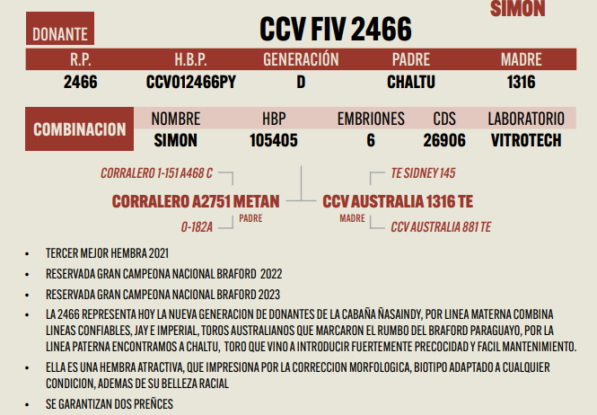 Lote LOTE 23