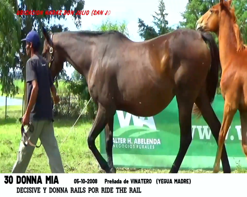 Lote DONNA MIA