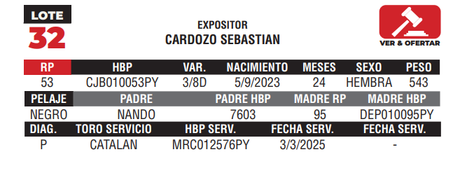 Lote LOTE 32 - CAMPO