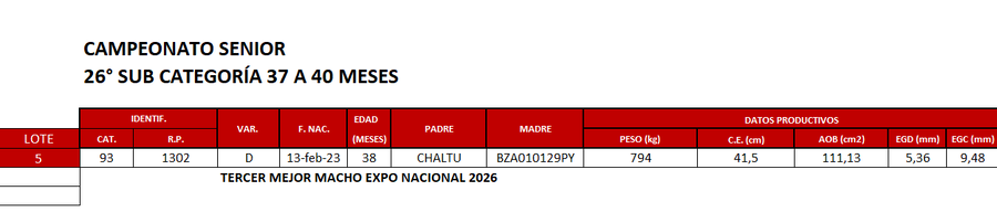 Lote LOTE 5-  CAT 93