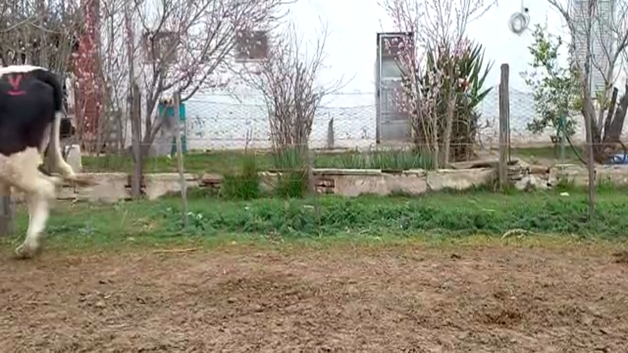 Lote Zenclusen Osvaldo