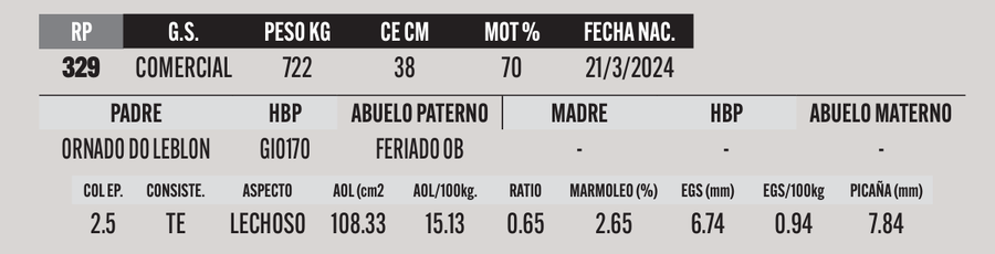 Lote LOTE 28