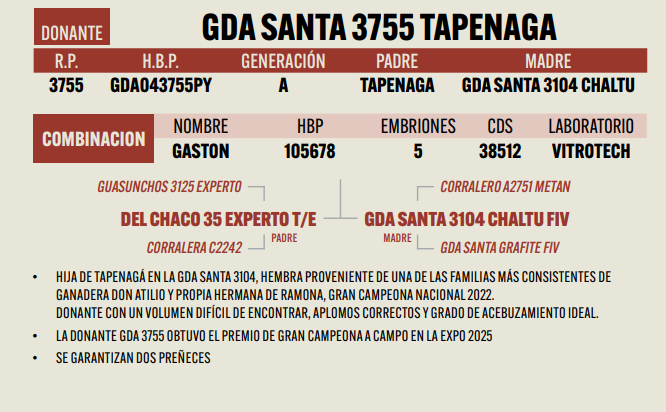 Lote LOTE 25