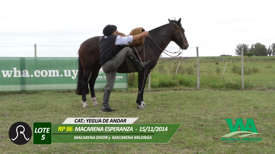 Lote MACARENA ESPERANZA