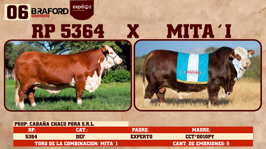 Lote LOTE 6