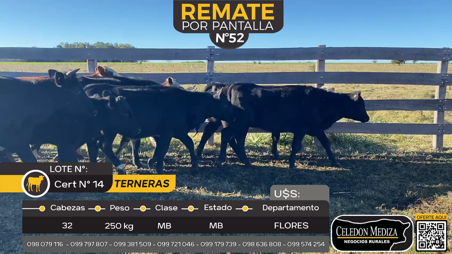 Lote 32 Terneras en Otra Localidad, Flores