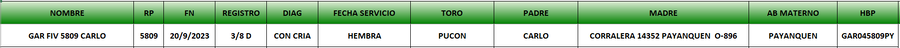 Lote LOTE 5