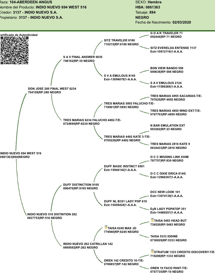 Lote VAQUILLONAS CON CRIA SANTA ROSA