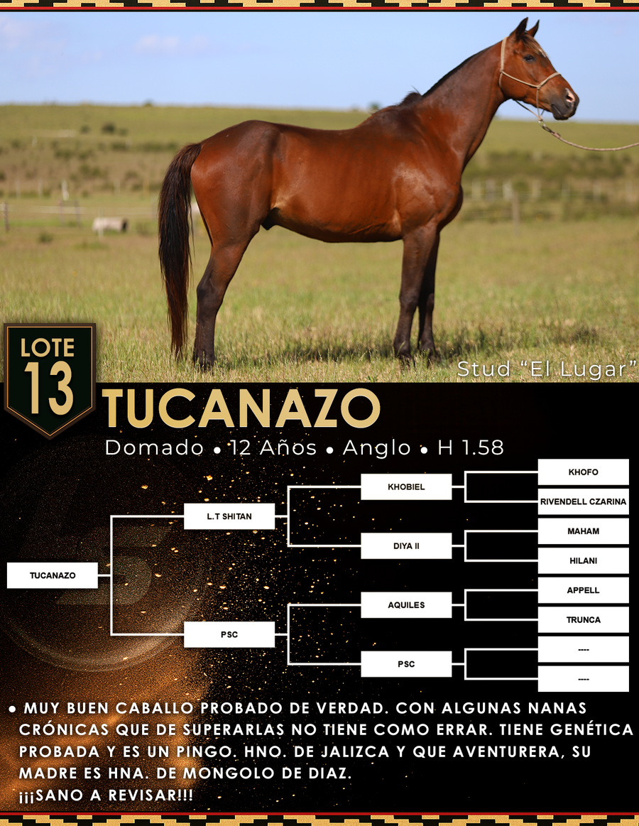 Lote TUCANAZO