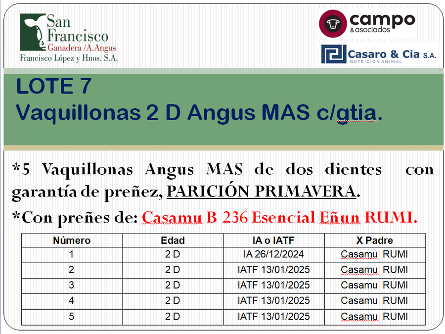 Lote 5 Vaquillonas Angus MaS con garantía de preñez, al parir. San Francisco