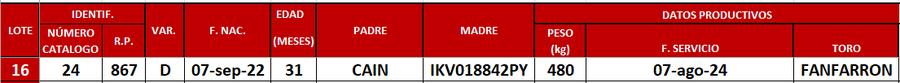 Lote LOTE 16