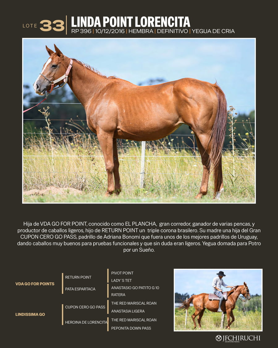 Lote LINDA POINT LORENCITA