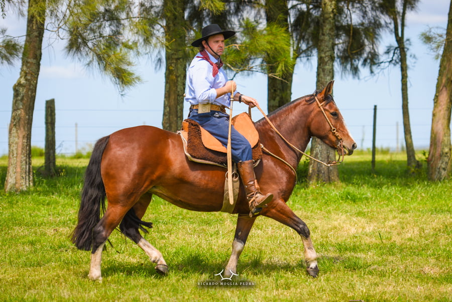 Lote El Gavilán Lagunera (RP 400) Cabaña "El Gavilán"