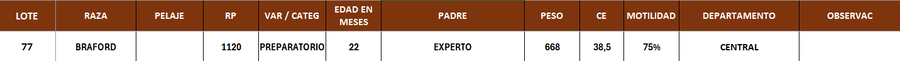 Lote LOTE 77