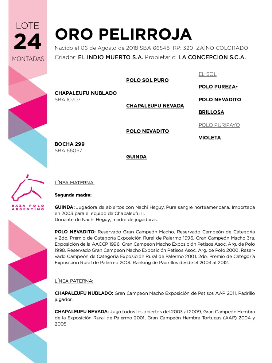 Lote ORO PELIRROJA (CHAPALEUFU NUBLADO - BOCHA 299)