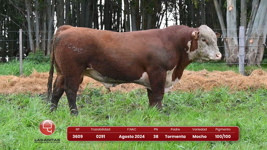Lote Lote 32