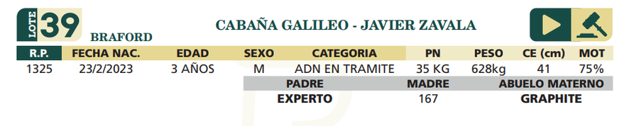 Lote LOTE 39