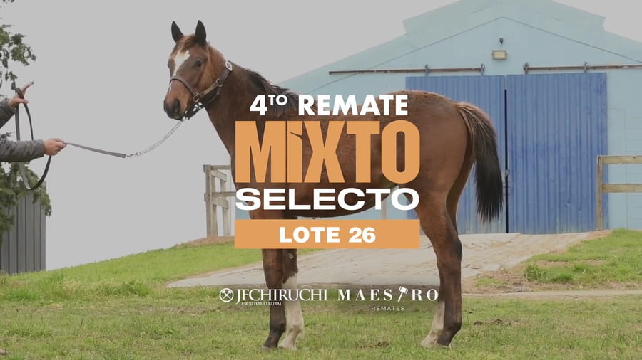 Lote VANTAGIO