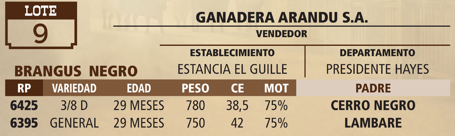 Lote LOTE 9 - VIVO