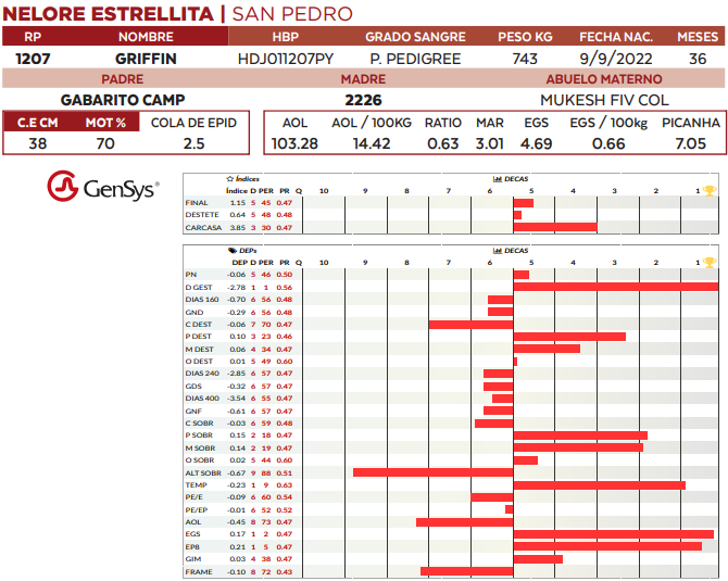 Lote LOTE 57