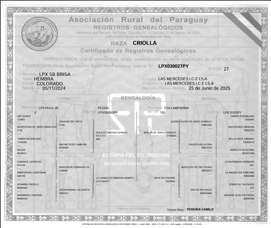 Lote LOTE 26- DE BOZAL