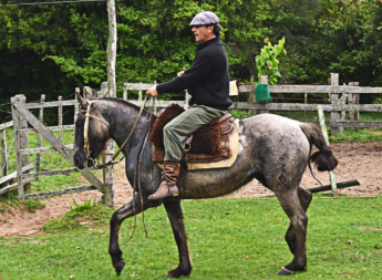 Lote Zarzuela el tacuaral