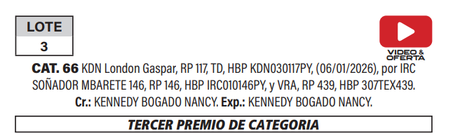 Lote LOTE 3