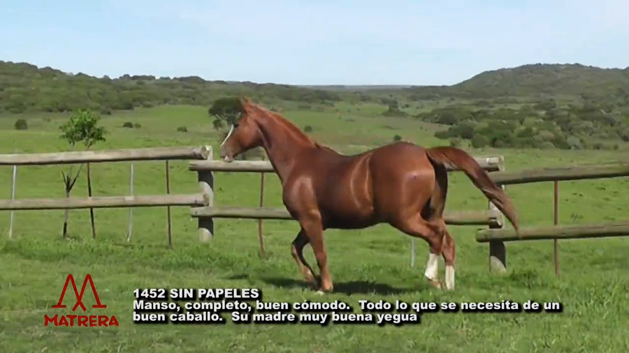 Lote 1452 SIN PAPELES