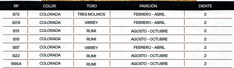 Lote "TRES MOLINOS" Vaquillas Controladas Preñadas